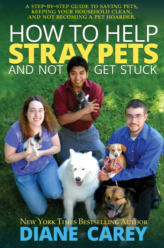 How to Help Stray Pets and Not Get Stuck