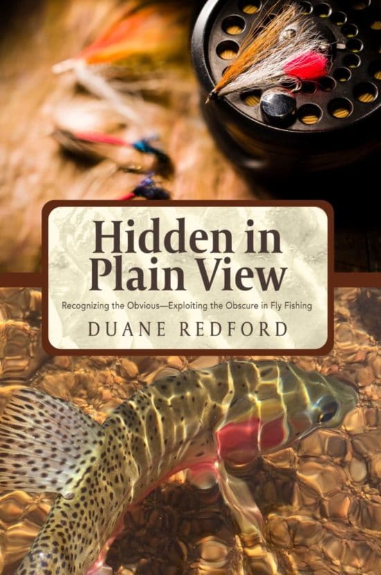 Hidden in Plain View